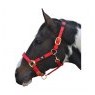 Hy Hy Deluxe Padded Headcollar