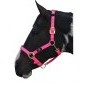 Hy Hy Deluxe Padded Headcollar