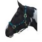 Hy Hy Deluxe Padded Headcollar