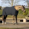 LeMieux LeMieux Arika Clima-Tek Rug