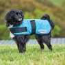 Weatherbeeta Weatherbeeta Therapy-Tec Cooling Dog Coat