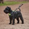 Weatherbeeta Weatherbeeta Anti Pull/Travel Harness