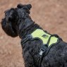 Weatherbeeta Weatherbeeta Anti Pull/Travel Harness