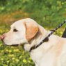 Weatherbeeta Weatherbeeta Rope Leather Slip Dog Lead