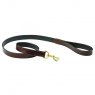 Weatherbeeta Leather Dog Lead