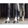 Catago Catago Hybrid Dressage Boot - Black