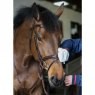 Carr & Day & Martin Carr & Day & Martin Tack Cleaning Mitt