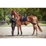 Catago Catago FIR-Tech Training Saddle Pad