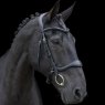 EcoRider Ecorider Ecosoft Enigma Bridle