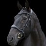 EcoRider Ecorider Ecosoft Enigma Bridle