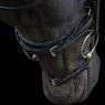 EcoRider Ecorider Ecosoft Enigma Bridle