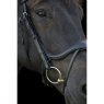 EcoRider Ecorider Ecosoft Enigma Bridle