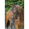 EcoRider Ecorider Ecosoft Acclaim Bridle