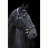 EcoRider Ecorider Ecosoft Finesse Bridle