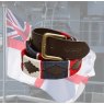 Pampeano Pampeano & Darley Lifestyle Royal Navy Polo Belt
