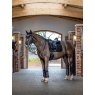 LeMieux LeMieux Suede Dressage Square - Black
