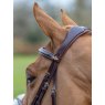 LeMieux LeMieux Grackle Bridle