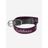 LeMieux LeMieux Elasticated Belt - Fig