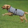 Weatherbeeta Weatherbeeta Comfitec Reflective Dog Coat