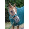 Cameo Equine Cameo Equine Limited Edition Show Collection Rug