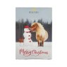 Lincoln Snowman Advent Calendar