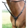 Shires Shires Salisbury Three Point Breastplate