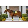 LeMieux LeMieux Loire Classic Dressage Square - Kiwi