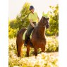 LeMieux LeMieux Loire Classic Dressage Square - Kiwi