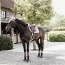 Kentucky Kentucky Tendon Boots Bamboo Shield - Elastic - Old Rose