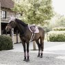 Kentucky Kentucky Tendon Boots Bamboo Shield - Elastic - Old Rose