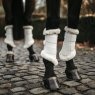 Kentucky Kentucky Air Turnout Boots