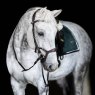 PS of Sweden PS of Sweden Nirak Bridle