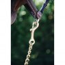 Kentucky Kentucky Stallion Chain