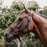 Kentucky Kentucky Anatomic Leather Head Collar