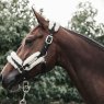 Kentucky Kentucky Sheepskin Head Collar