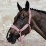 Kentucky Kentucky Velvet Head Collar