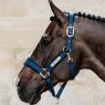 Kentucky Kentucky Velvet Head Collar