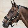 Kentucky Kentucky Velvet Head Collar