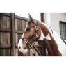 Kentucky Kentucky Plaited Nylon Head Collar