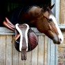 Kentucky Kentucky Sheepskin Anatomic Girth