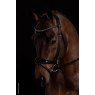 Schockemohle Schockemohle Westminster Bridle