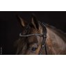 Schockemohle Schockemohle Westminster Bridle