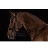 Schockemohle Schockemohle Kensington Bridle