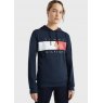 Tommy Hilfiger Tommy Hilfiger Tommy Flag Performance Hoodie - Desert Sky