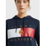 Tommy Hilfiger Tommy Hilfiger Tommy Flag Performance Hoodie - Desert Sky