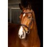 LeMieux LeMieux Arika Flash Bridle