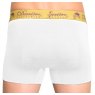 Derriere Derriere Men's Performance Padded Shorty