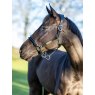 LeMieux LeMieux Rope Control Headcollar