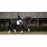 LeMieux LeMieux Crystal Suede Dressage Pad