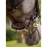 LeMieux LeMieux Simuwool Chin/Noseband Guard